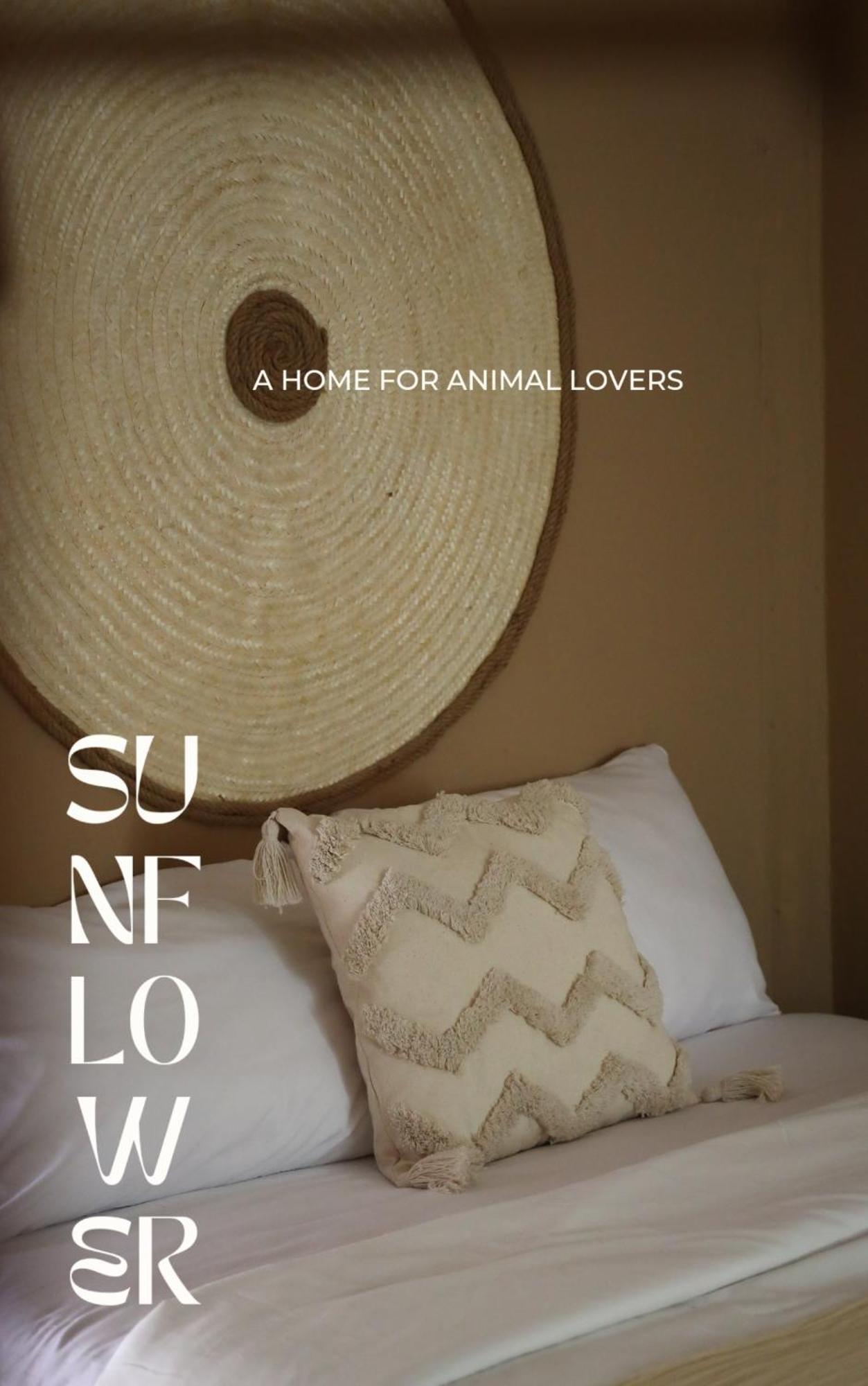Sunflower Guesthouse And Animal Rescue - كو ليبي الغرفة الصورة