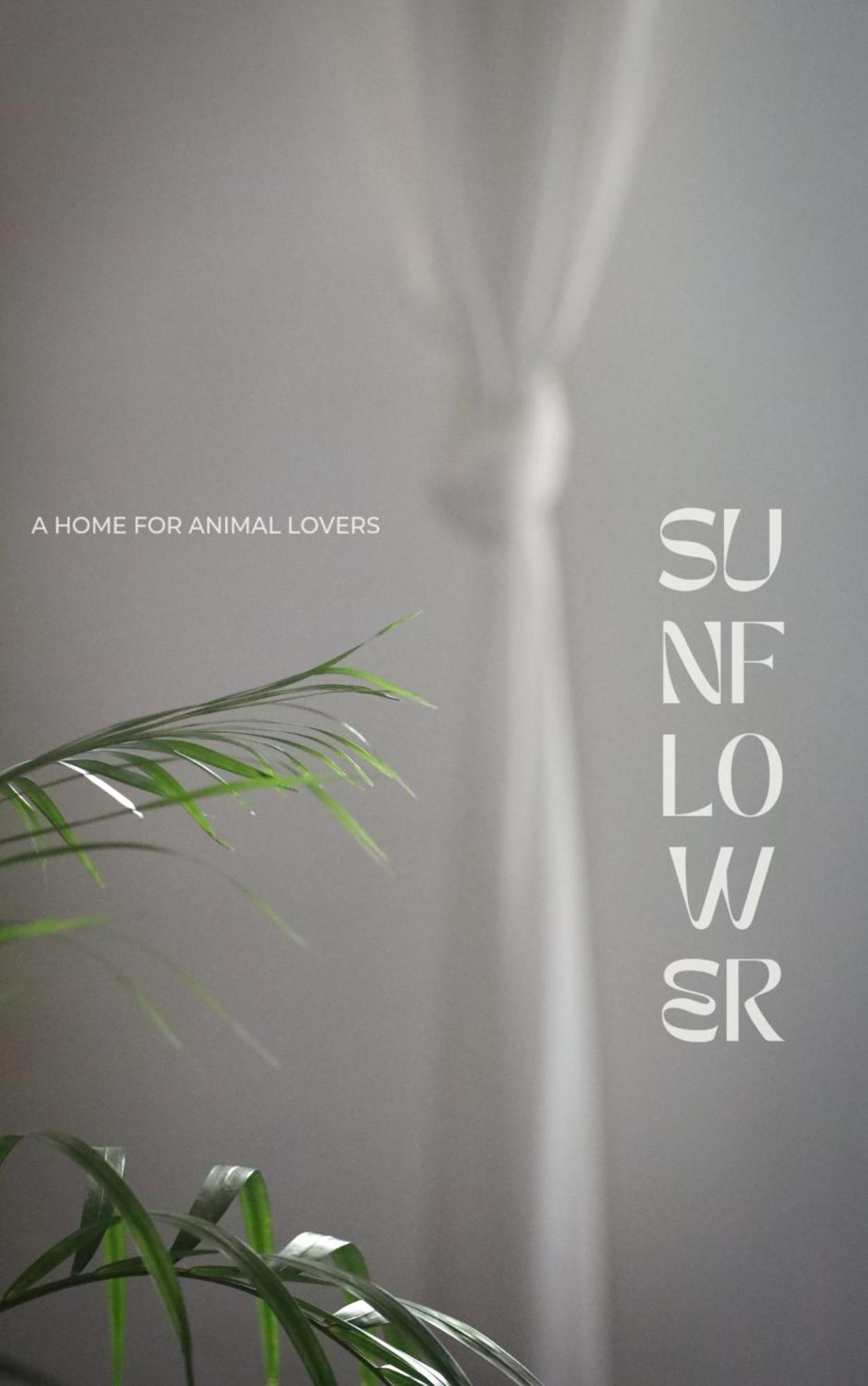 Sunflower Guesthouse And Animal Rescue - كو ليبي المظهر الخارجي الصورة